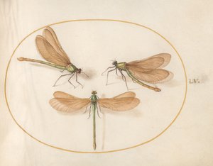 Libel, ca. 1575-80