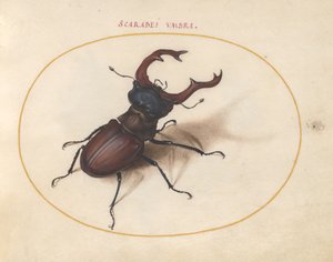 Scarabee, ca. 1575-80