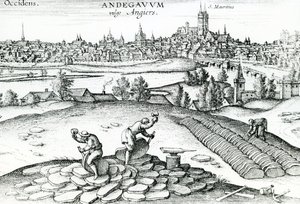 Leisteengroeve in Angers, 1561