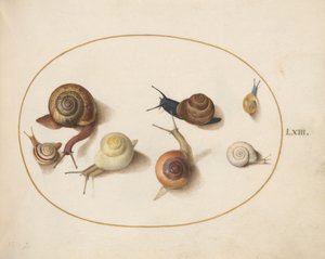 Slak, ca. 1575-80