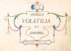 Titelpagina