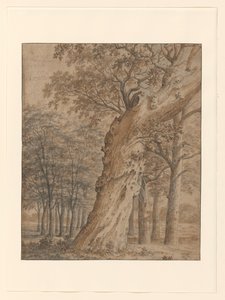 Oude eik in een bos door Joris van der Haagen