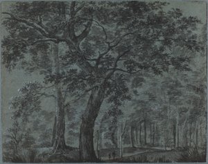 Bos in de nacht met reizigers