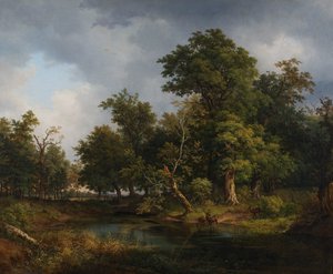 Boslandschap