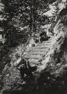 Album "Meine weltkriegs - Erinnerungen South-West Front (Karinthië, Italië, Zuid-Tirol) 31/03/1915-12/11/1918 - Josef Zohles Wien": leger muilezels langs een steile helling door Josef Zohles
