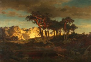 Grove dennen