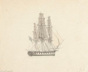 Enkelvoudige hermafrodiete brig