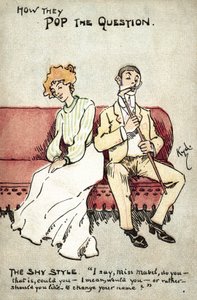 Hoe de vraag te stellen, de verlegen stijl (kleur litho)