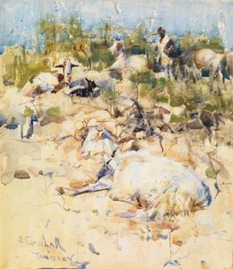 Geiten op een Heuvel, Tanger