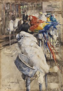 De Volière, Clifton