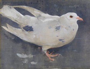 De duif door Joseph Crawhall