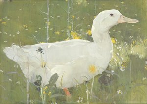 De Witte Drake door Joseph Crawhall