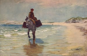 Aan de kust, Connemara, 1881