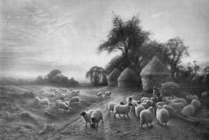 Schapen voeren, ca. 1890, 1911