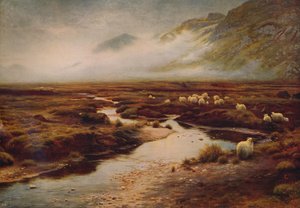 Het mos bij Poolewe, 1913, ca. 1915