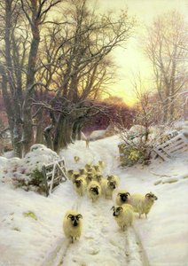 De Zon Had de Winterdag Gesloten