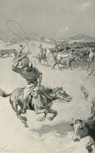 Veedrijven in Queensland door Joseph Finnemore
