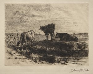 De Drie Koeien