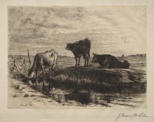 De Drie Koeien