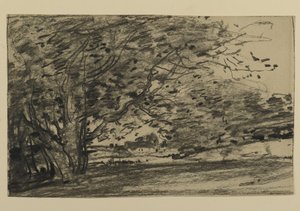 Studie van bomen, 1870 door Joseph Frank Currier