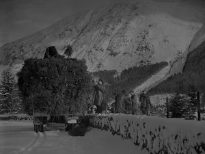 Vrachtwagen gevuld met kerstbomen op weg op een besneeuwde weg door Joseph Hardman