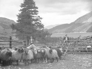 Twee herders met een kudde schapen en Thirlmere erachter