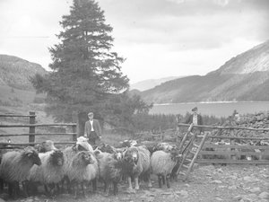 Twee herders met een kudde schapen en Thirlmere erachter