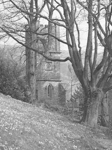 Gezicht op een kerk; architectuur; religieus; kerkelijk; toren door bomen
