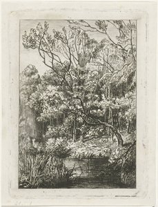 Bosgezicht door Joseph Hartogensis