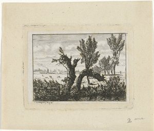 Landschap met knotwilgen door Joseph Hartogensis