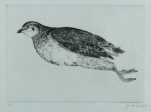 Dode patrijs (La Perdrix) (gravure) door Joseph Hecht