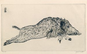 Wild Zwijn (Le Sanglier) door Joseph Hecht