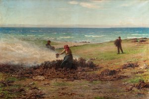Kelp Verbranding