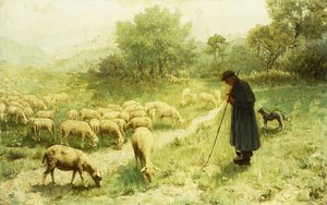Herder