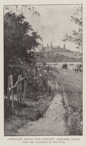 Kerkhof Bottom Wood, Highgate, Alexandra Palace vanaf de Rand van het Bos