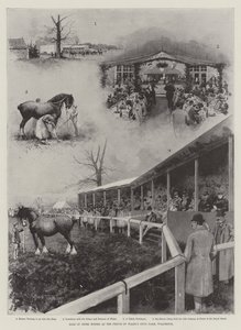 Verkoop van Shire-paarden op de stoeterij van de Prins van Wales, Wolferton
