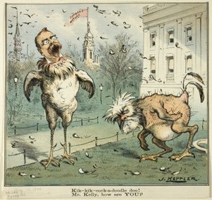 Kik-kik-cock-a-doodle doo! Meneer Kelly, hoe gaat het met u, van Puck door Joseph Keppler