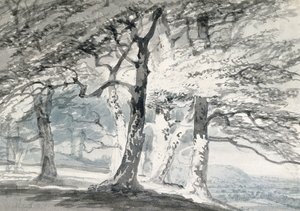 Norbury Park, Surrey door Joseph Mallord William (attr.to) Turner
