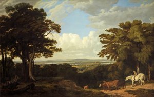 Newnham-on-Severn, Gloucestershire, vanaf Dean Hill