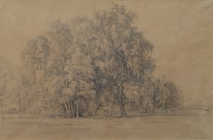 Berkengroep in het park van kasteel Seebenstein in Neder-Oostenrijk door Joseph Martin Höger