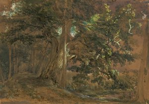 Bosinterieur bij Lundenburg (Esdoorn groep bij een bergmeer) door Joseph Martin Höger