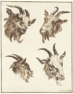 Vier studies van geitenkoppen door Joseph Mendes da Costa