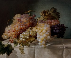 Stilleven met druiven in een porseleinen schaal door Joseph Nigg