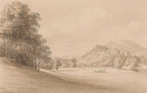 Kasteel Dunster, Somerset: Kasteel in de verte