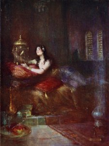 De sultana en haar kanarie
