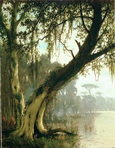 In de Bayou