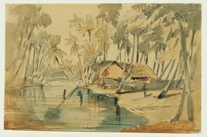 Palmenbos op Ceylon (Sri Lanka) door Joseph Selleny