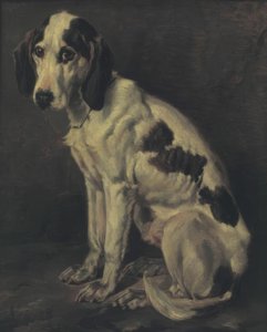 De oude teef