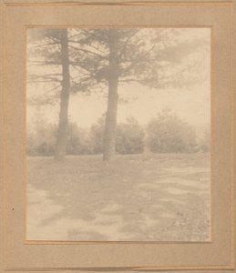 Landschap met bomen