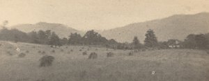 Landschap met bomen en bergen